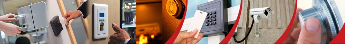 Image Title Image Title